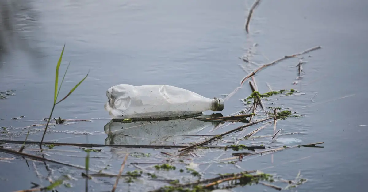 Toner écologique : comment améliorer votre impact positif ?