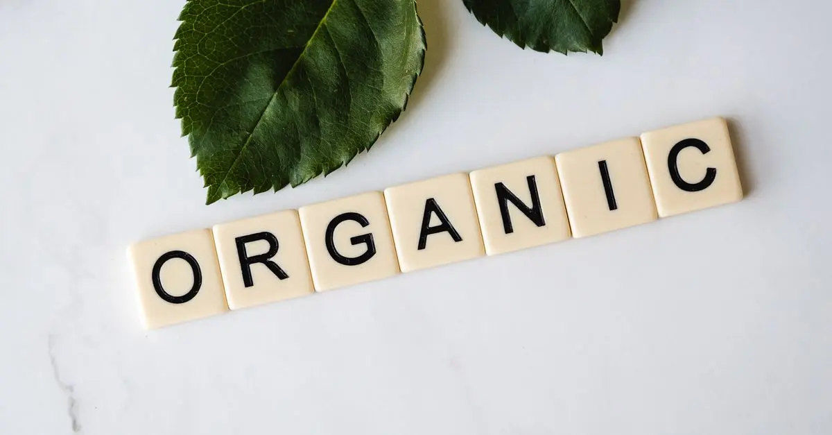 Les composants de base d'un toner écologique