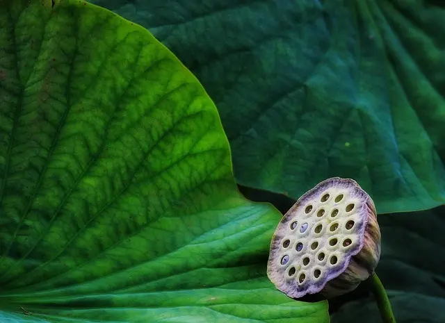 Les erreurs à éviter lors de l'achat d'un toner écologique