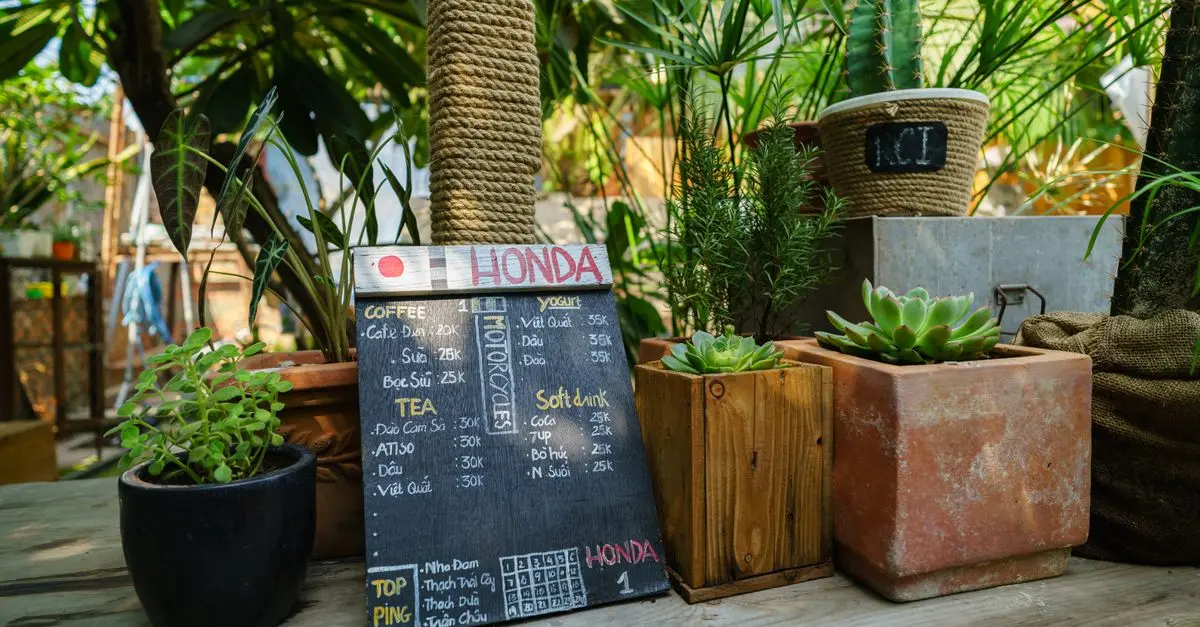 10 erreurs à éviter lors de l'utilisation d'un toner écologique
