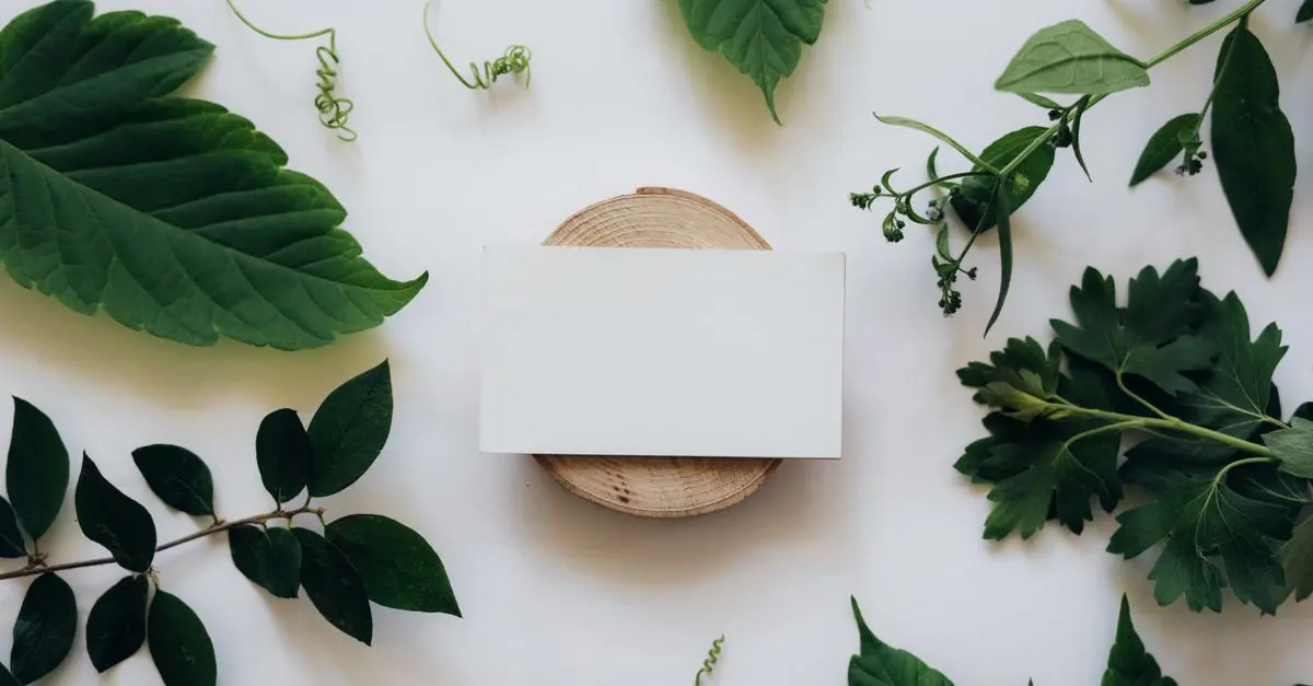 Pourquoi les toners écologiques sont-ils essentiels pour votre imprimante ?