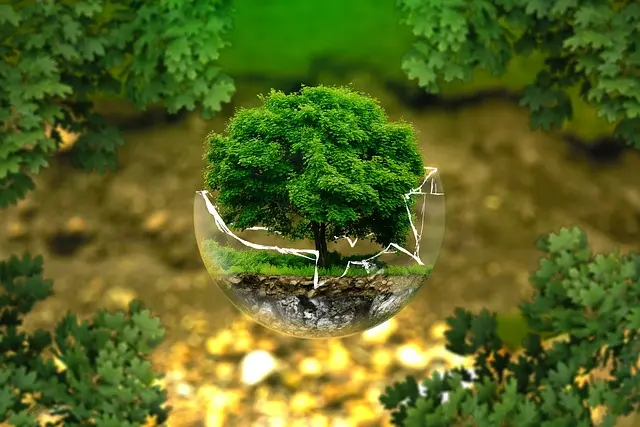 Comment réduire votre empreinte écologique avec un toner écologique