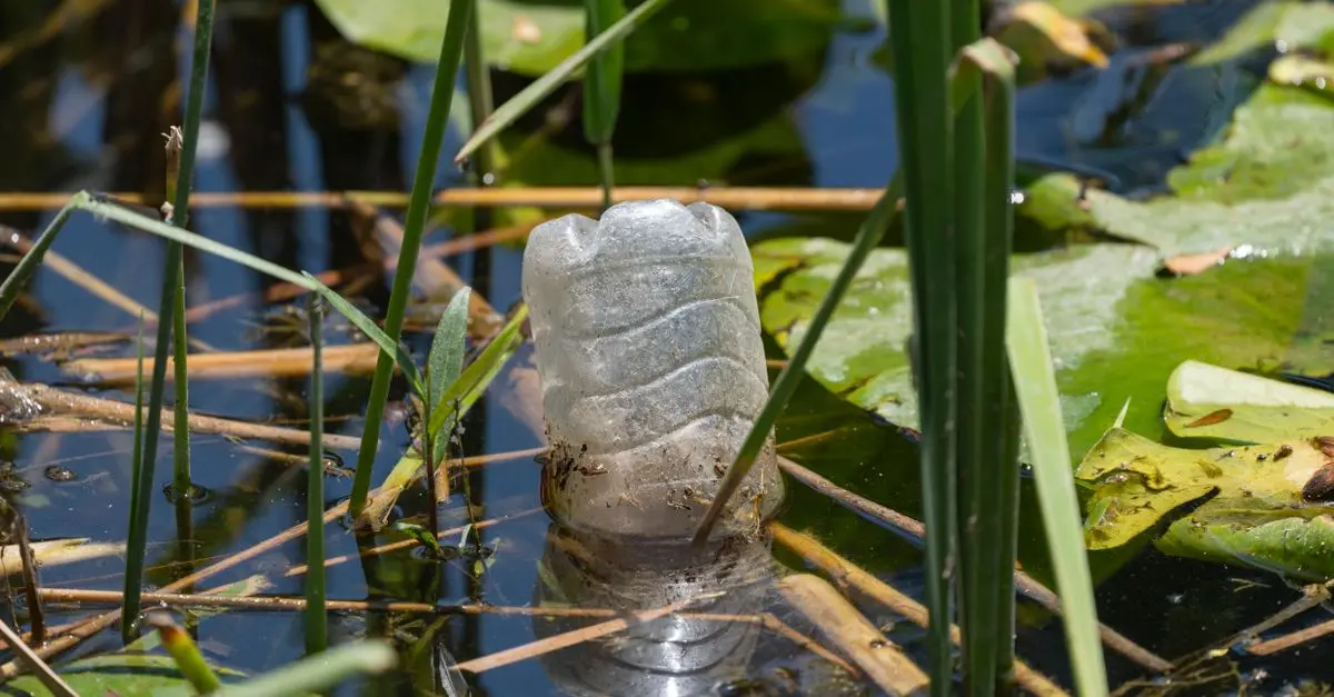L'impact écologique des toners : ce que vous devez savoir