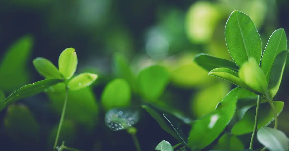 FAQ : Vos questions sur les toners écologiques