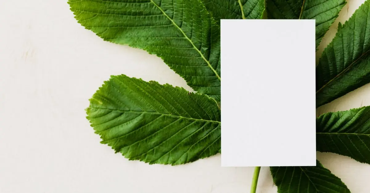 Comment fonctionne un toner écologique ?