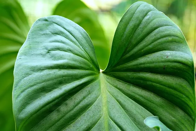 Comment un toner écologique réduit votre empreinte carbone