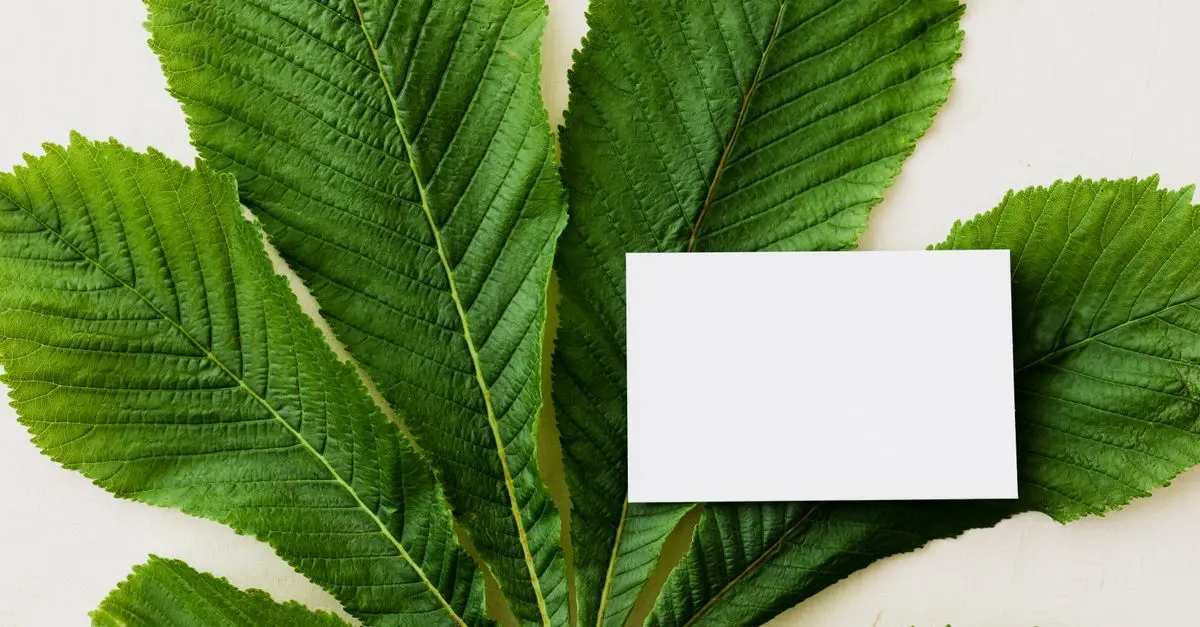 10 conseils pour une impression durable avec des toners écologiques