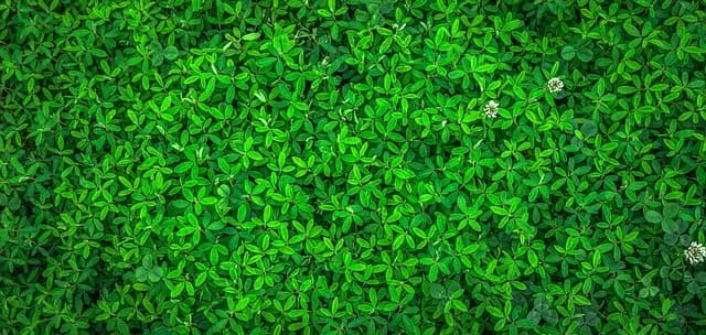 7 astuces pour maximiser l'utilisation de votre toner écologique