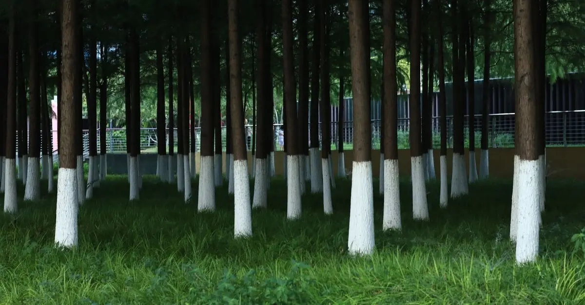 Impact des toners classiques sur l'environnement et alternatives
