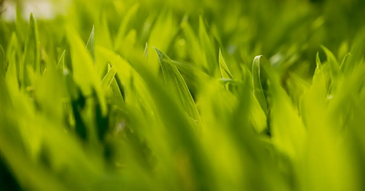 Qu'est-ce qu'un toner écologique ?