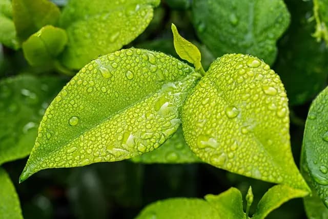 10 erreurs fréquentes à éviter lors de l'achat de toner écologique