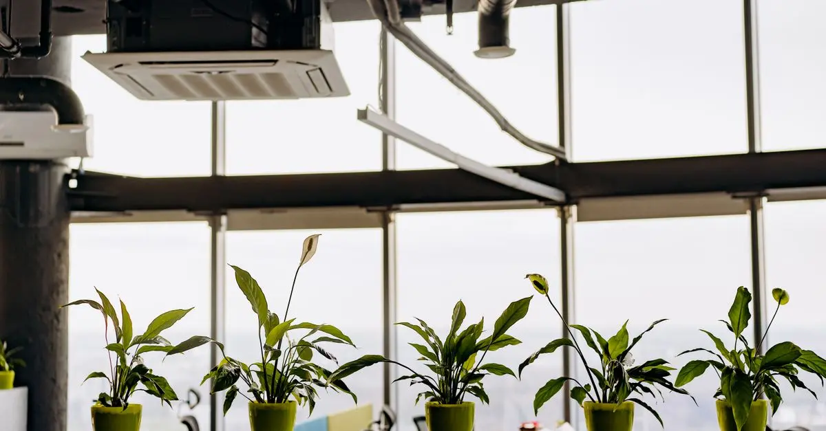 Les erreurs courantes à éviter lors de l'utilisation d'un toner écologique