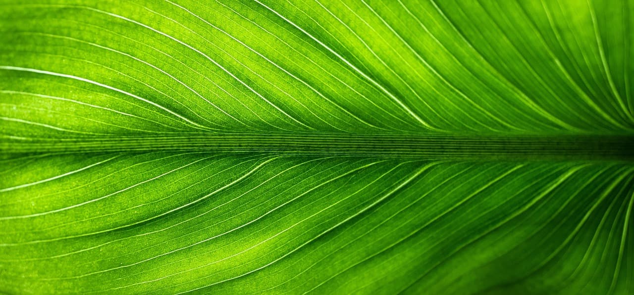 5 raisons d'opter pour un toner écologique dans votre bureau
