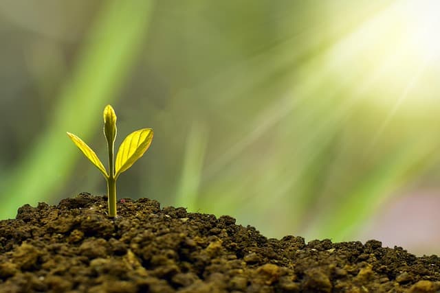 Toner écologique : 5 conseils pour choisir le bon modèle