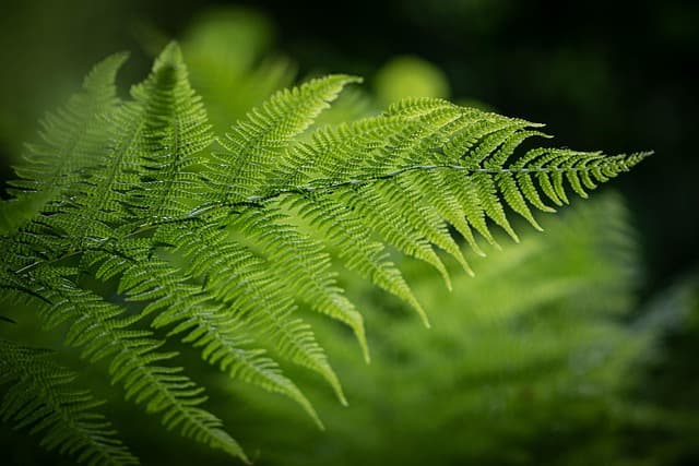 Les alternatives aux toners classiques : quelles options écologiques ?