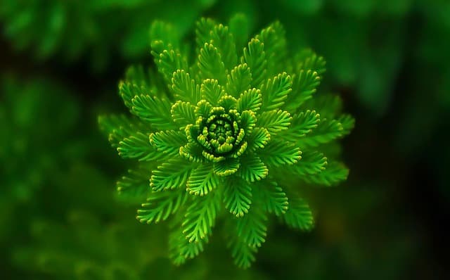 10 Conseils pour Maximiser l'Utilisation de Votre Toner Écologique