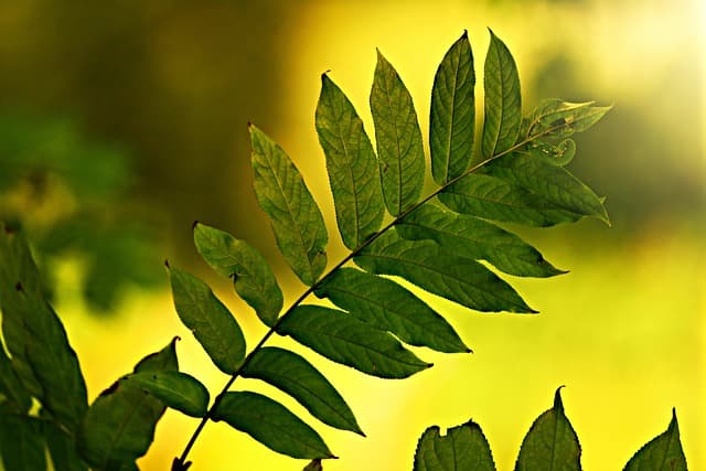 10 erreurs courantes à éviter lors de l'achat d'un toner écologique