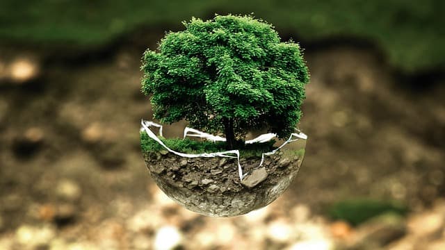 Les erreurs à éviter lors de l'utilisation d'un toner écologique
