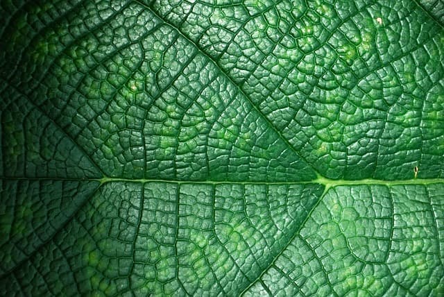 Comparatif des Meilleurs Toners Écologiques : Qualité et Prix