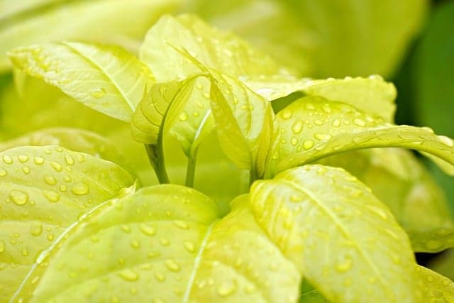 Comment bien recycler vos toners écologiques pour un impact durable