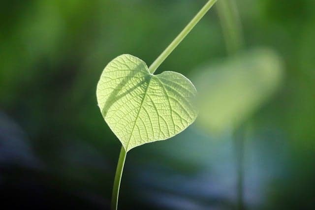 Toner écologique : 7 erreurs à éviter pour un choix éclairé