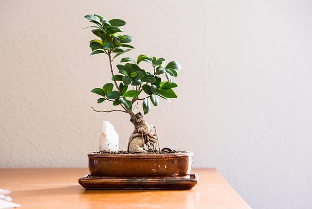 Les bienfaits d'un toner écologique pour votre santé et l'environnement