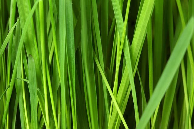 5 erreurs courantes à éviter lors du choix d'un toner écologique